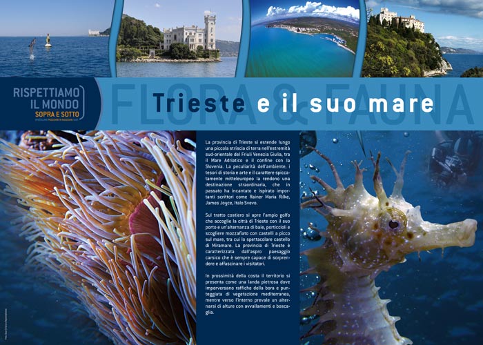 Trieste e il suo mare