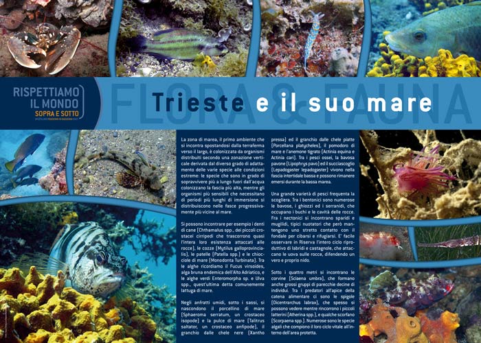 Trieste e il suo mare 2