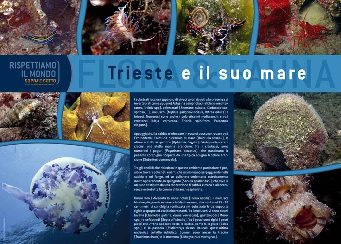 Trieste e il suo mare 3